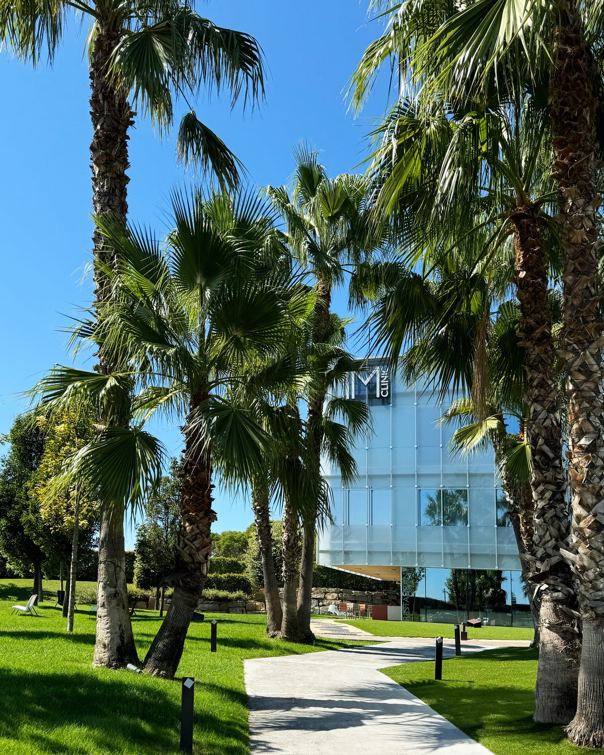 Jardín de IM Clinic con palmeras y el camino hacia la entrada